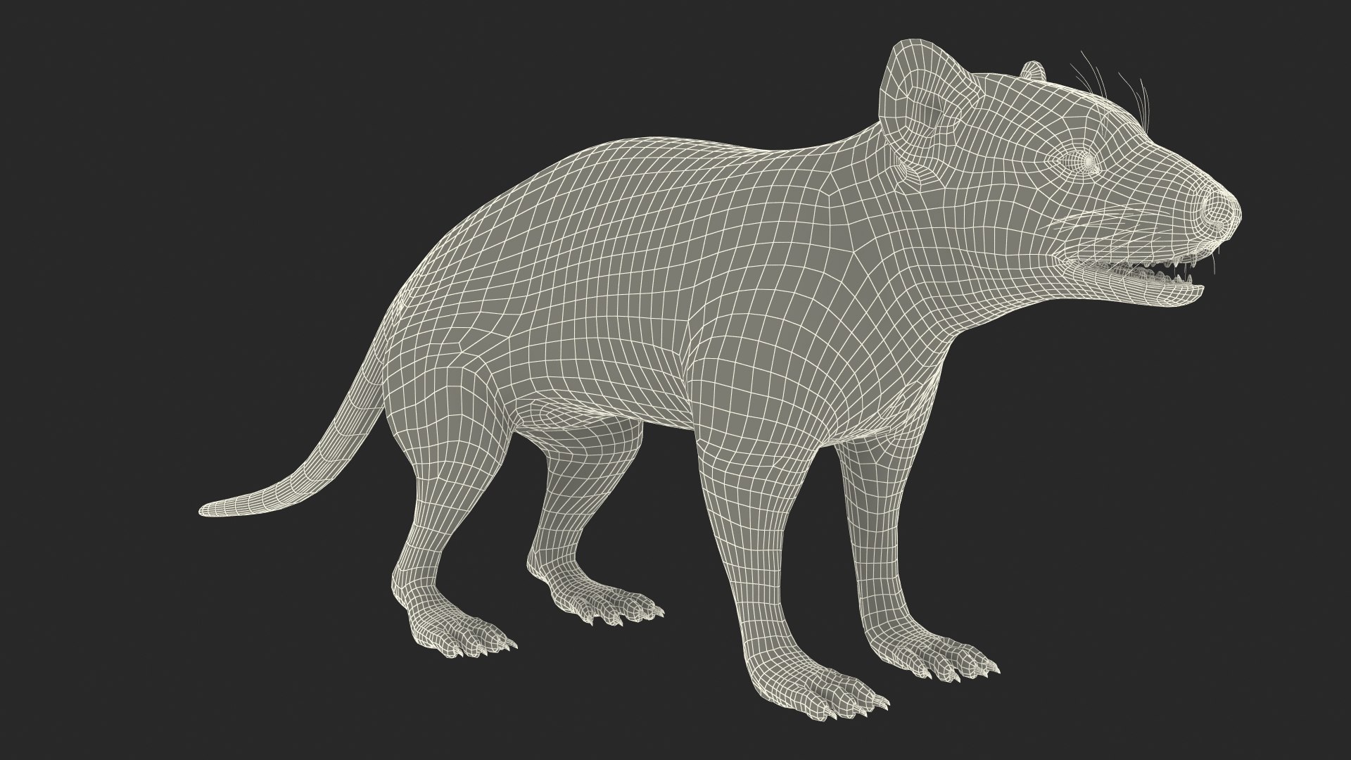 3D Model Tasmanian Devil Fur - TurboSquid 2127113