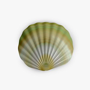 3d model ark seashell smooth