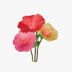 3D model Hibiscus Flower In 3 Colors 
