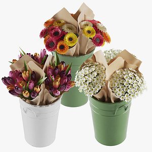 Flowers In Buckets Bundle 02