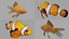 2xPack Goldfish and Snowfish 3D model