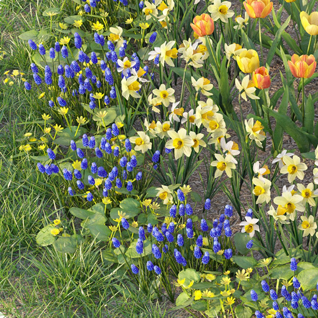 Flowerbed 6 3D Model - TurboSquid 1729097