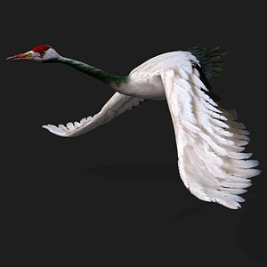 Crane Bird-A1 3D model