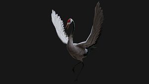 Crane Bird-A1