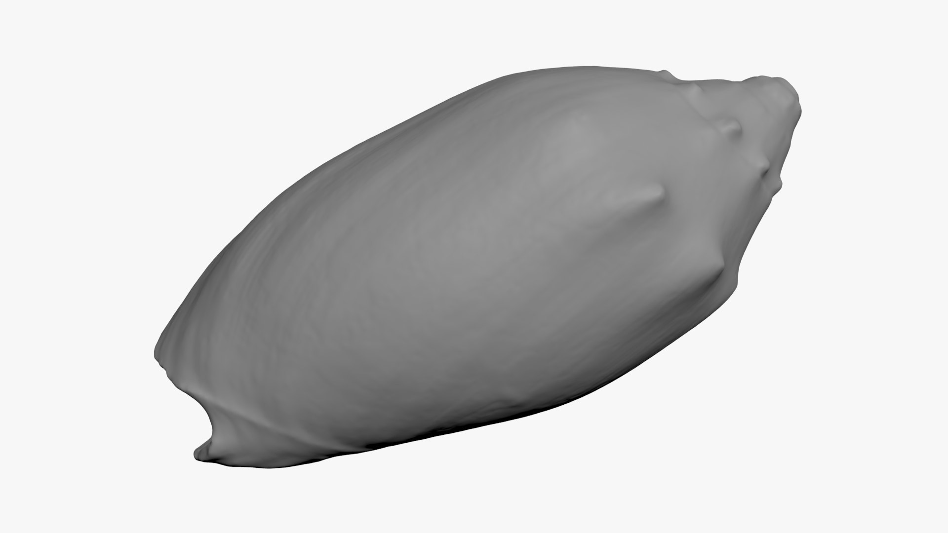 Cymbiola Mariaemma 3D Print 3D https://p.turbosquid.com/ts-thumb/gV/YROBWt/DR/cymbiolamariaemma_b0004/jpg/1729519113/1920x1080/fit_q87/1cd44b350f63e0871e26694298e24d8faf227f8f/cymbiolamariaemma_b0004.jpg