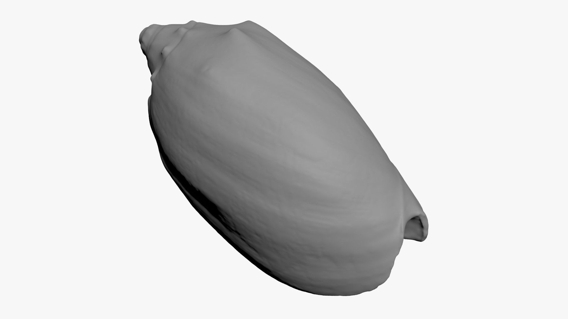 Cymbiola Mariaemma 3D Print 3D https://p.turbosquid.com/ts-thumb/gV/YROBWt/Ev/cymbiolamariaemma_b0012/jpg/1729519117/1920x1080/fit_q87/523db95fce5388eaeb90a2819cd7855d4d5709d0/cymbiolamariaemma_b0012.jpg