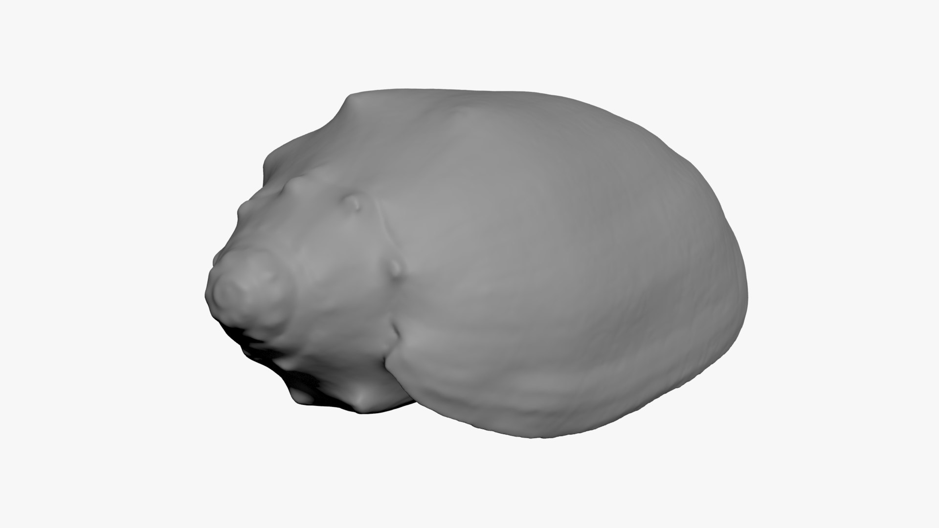 Cymbiola Mariaemma 3D Print 3D https://p.turbosquid.com/ts-thumb/gV/YROBWt/OY/cymbiolamariaemma_b0014/jpg/1729519117/1920x1080/fit_q87/b36436c5048a7d622ca4412b00a3fb076e4fd61f/cymbiolamariaemma_b0014.jpg