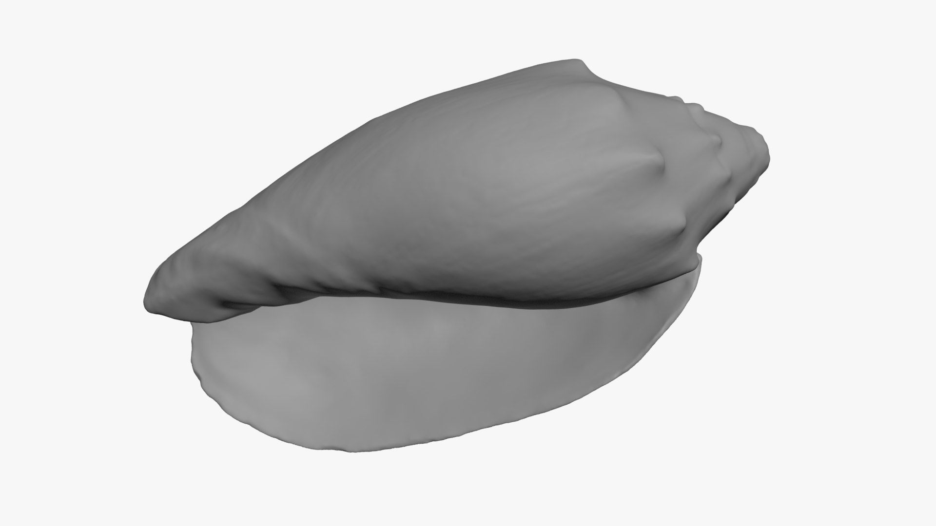 Cymbiola Mariaemma 3D Print 3D https://p.turbosquid.com/ts-thumb/gV/YROBWt/dQ/cymbiolamariaemma_b0008/jpg/1729519116/1920x1080/fit_q87/3b31dab83c37084d33f9702a329ee6e9114e510c/cymbiolamariaemma_b0008.jpg