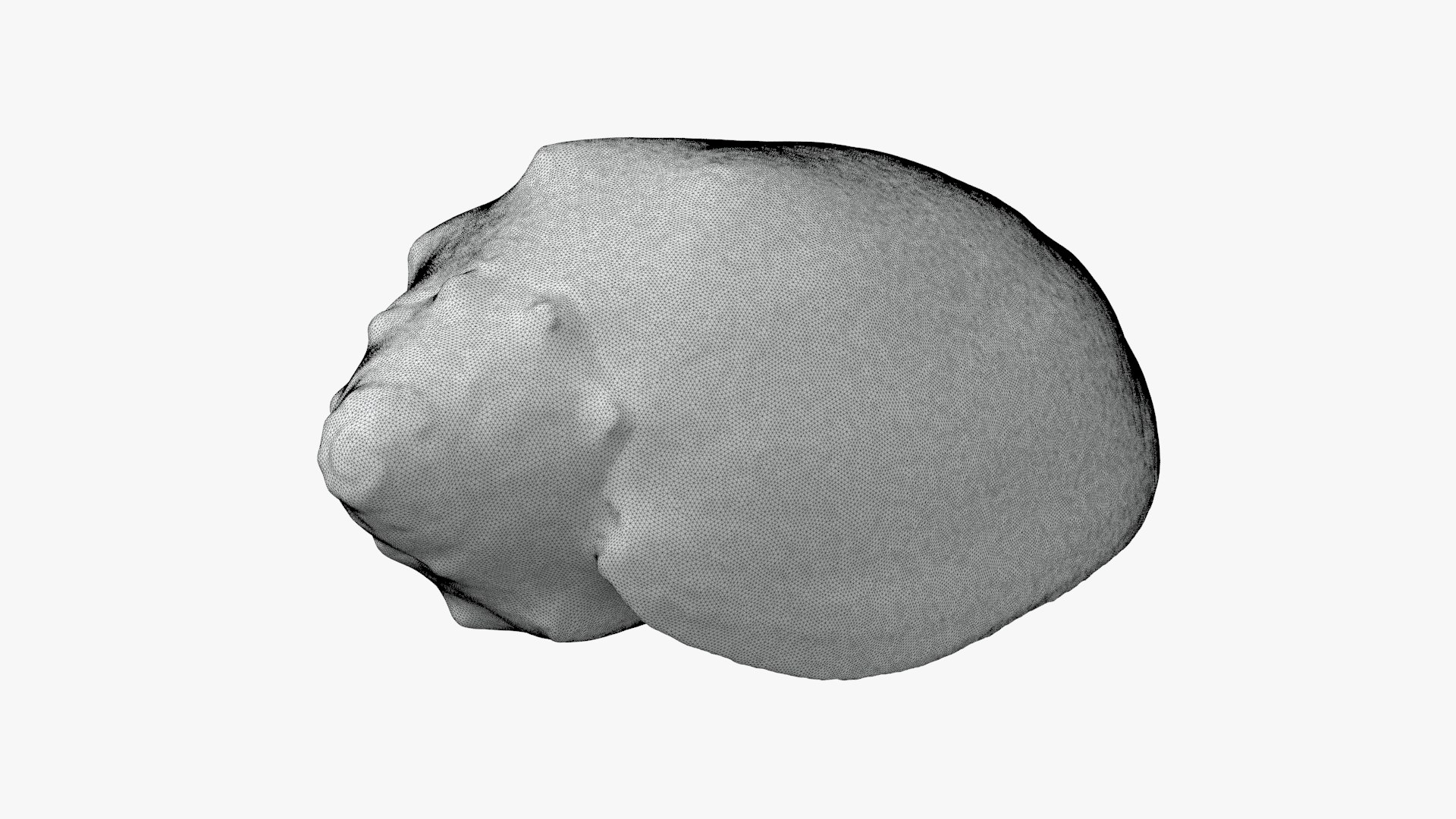 Cymbiola Mariaemma 3D Print 3D https://p.turbosquid.com/ts-thumb/gV/YROBWt/yc/cymbiolamariaemma_d0004/jpg/1729519120/1920x1080/fit_q87/e916c3e58b2c691eb90e7d868052e33bebcac951/cymbiolamariaemma_d0004.jpg