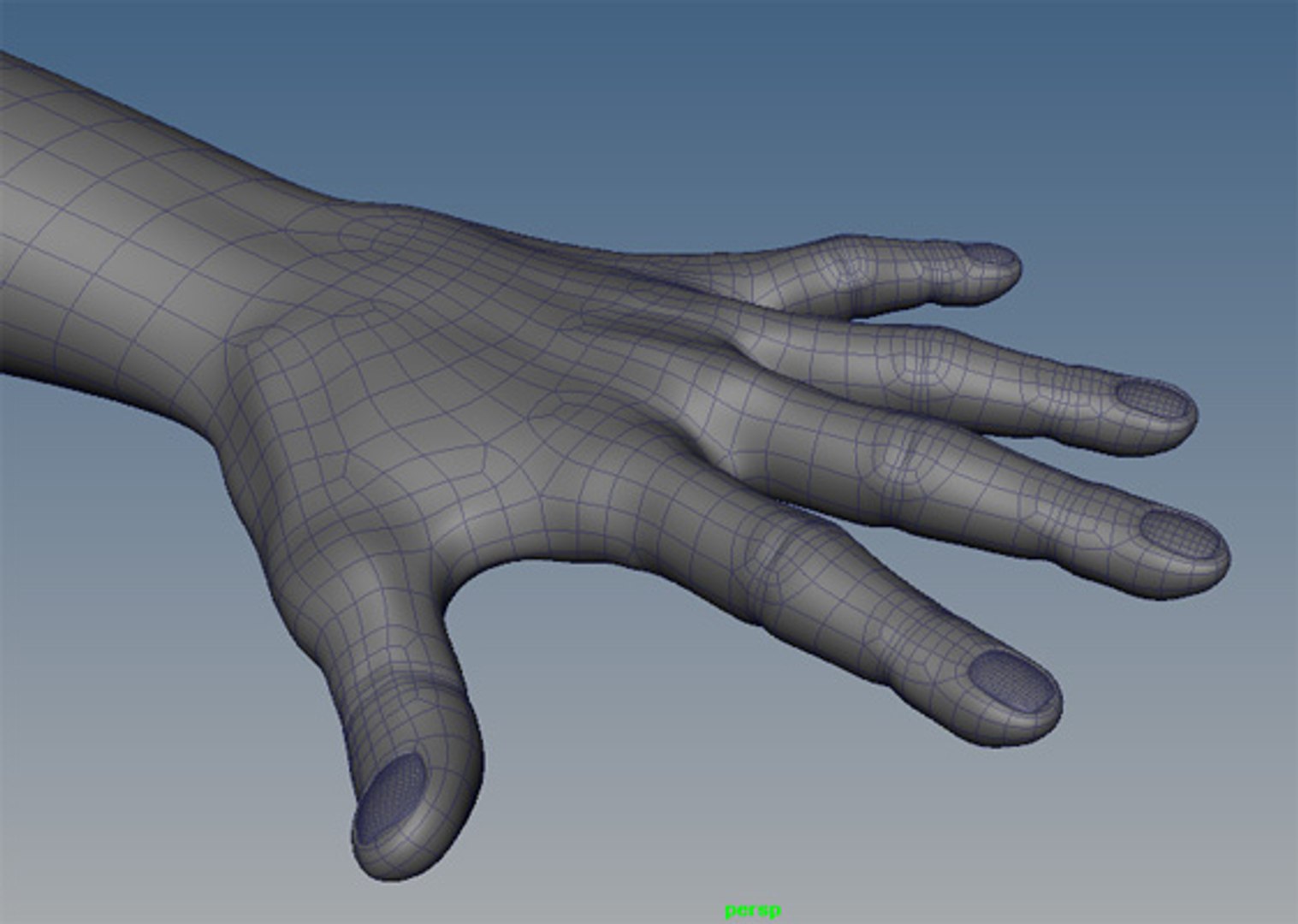 Human Hand Glove 3d Obj