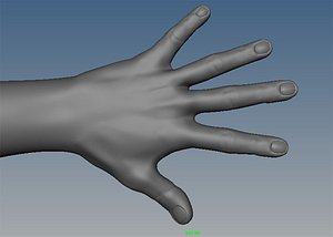 human hand glove 3d obj