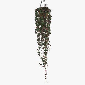 rosary vine model