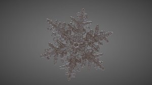 Snowflake model
