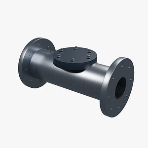 Flanged Check Valve - Standard component