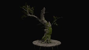 Old Bare broken tree Oak 3D