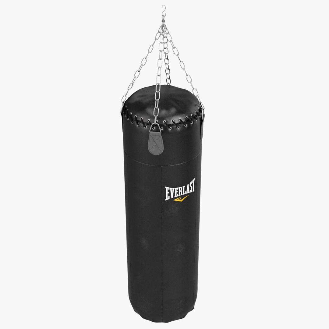 3d Punching Bag Everlast Model
