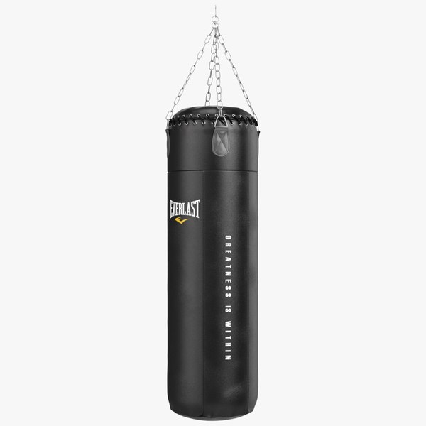 3d punching bag everlast model