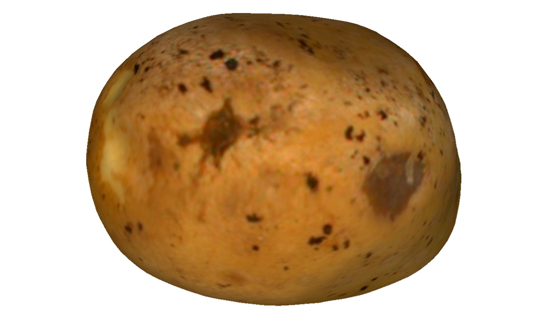 3D potato real model https://p.turbosquid.com/ts-thumb/gW/8vVfoj/piUyngXF/6/png/1600082453/1920x1080/fit_q87/35b8f15af90cdc5652c8c0004eaa8654edaa37b7/6.jpg