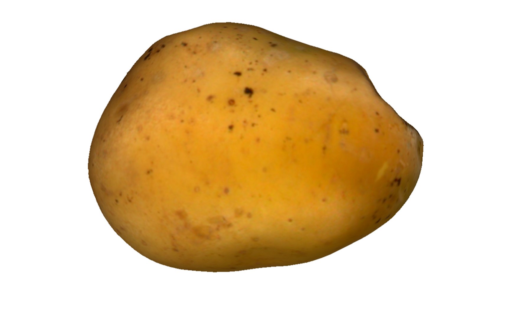 3D potato real model https://p.turbosquid.com/ts-thumb/gW/8vVfoj/yvVJNzqu/8/png/1600082453/1920x1080/fit_q87/a6fe8c7c664cf270a97adbf48925a8c5832dff24/8.jpg