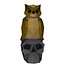 OWL ON SKULL 3D Papercraf