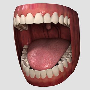 Teeth_01