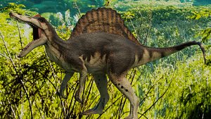 Spinosaurus Animated 3D model