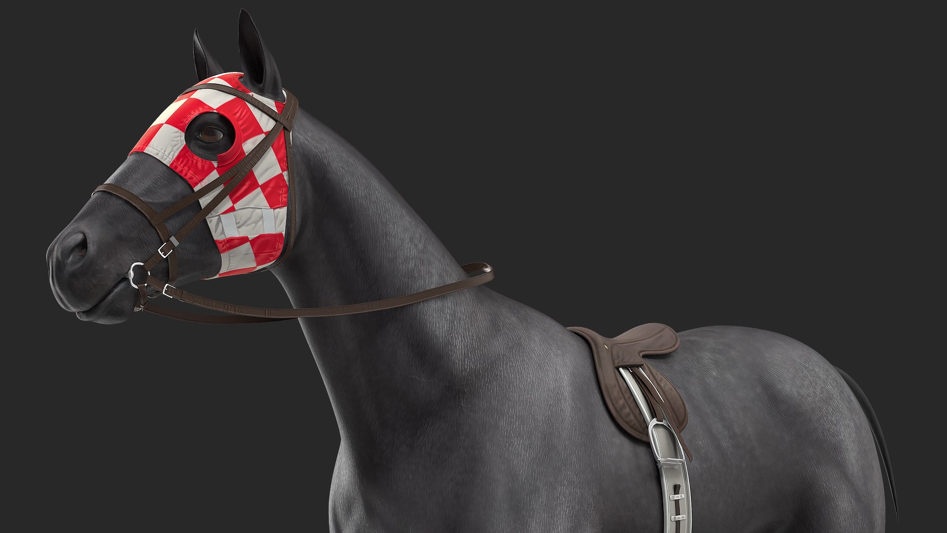 Racehorse Black 3D model preview