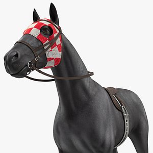 racehorse black horse model