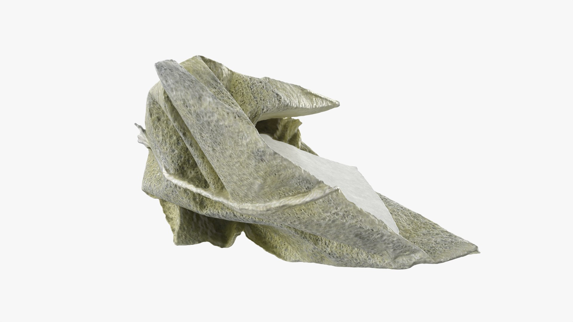 3D Green Tea Bag 02 model https://p.turbosquid.com/ts-thumb/gW/J7lNhE/Xt/greenteabag02_0005/png/1756710065/1920x1080/fit_q87/2f5366315f69e7c3f1f0e6470957ace3bce53230/greenteabag02_0005.jpg