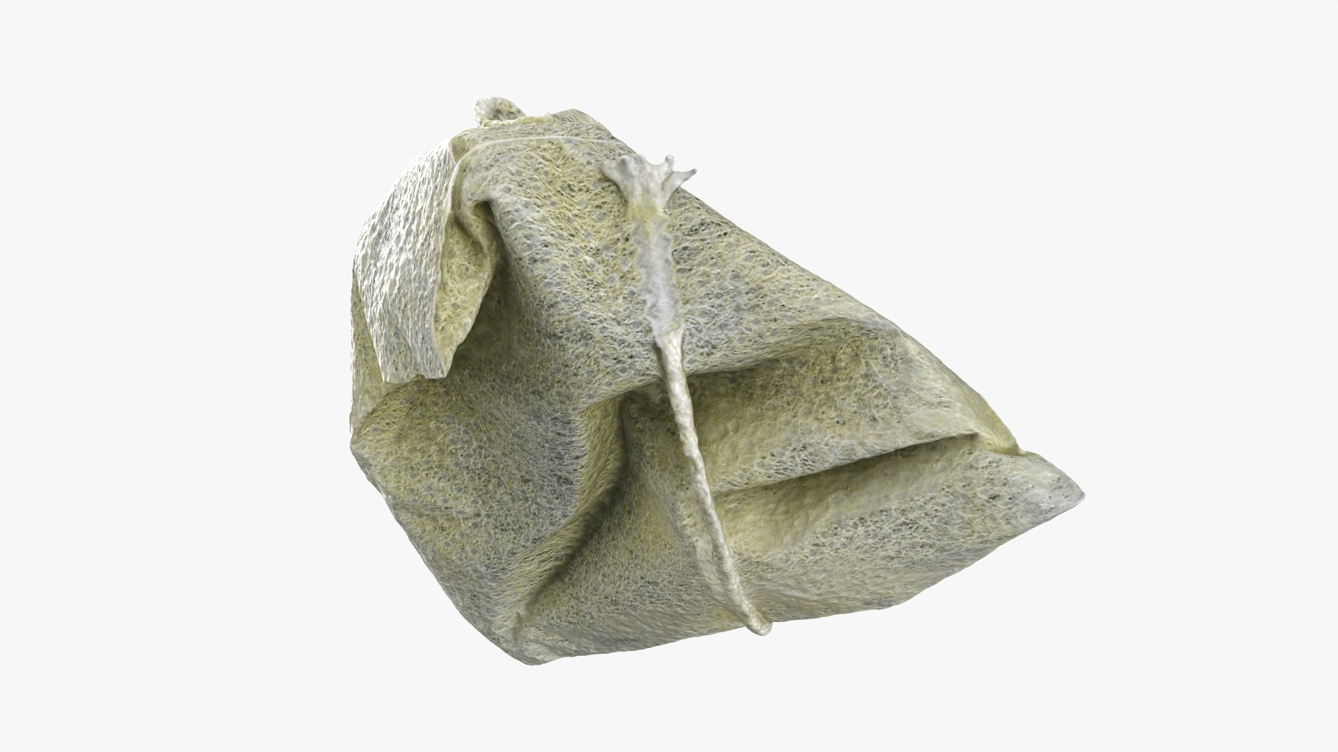 3D Green Tea Bag 02 model https://p.turbosquid.com/ts-thumb/gW/J7lNhE/b3/greenteabag02_0009/png/1756710055/1920x1080/fit_q87/e46e3604a1a1f72f34fa10d627a8e74b56c7d0dc/greenteabag02_0009.jpg