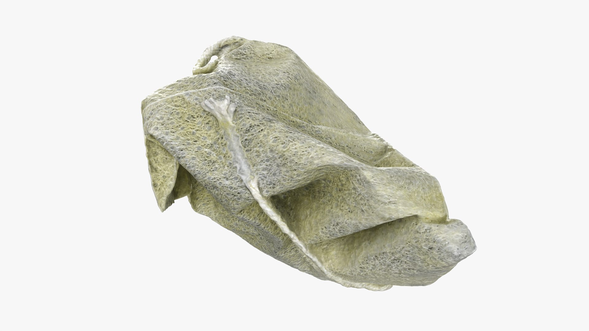 3D Green Tea Bag 02 model https://p.turbosquid.com/ts-thumb/gW/J7lNhE/yC/greenteabag02_0007/png/1756710051/1920x1080/fit_q87/64ee2aea0868459dfc458578f511b6974b9193e9/greenteabag02_0007.jpg