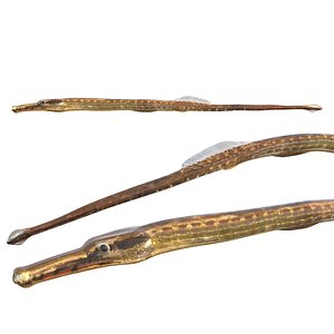 Opossum Pipefish