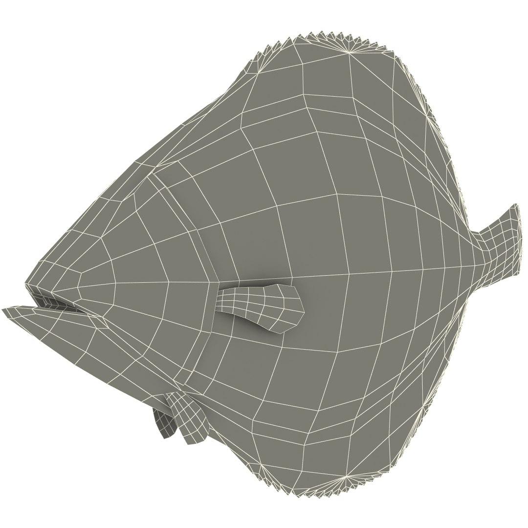 3d Flatfish Modelled Model