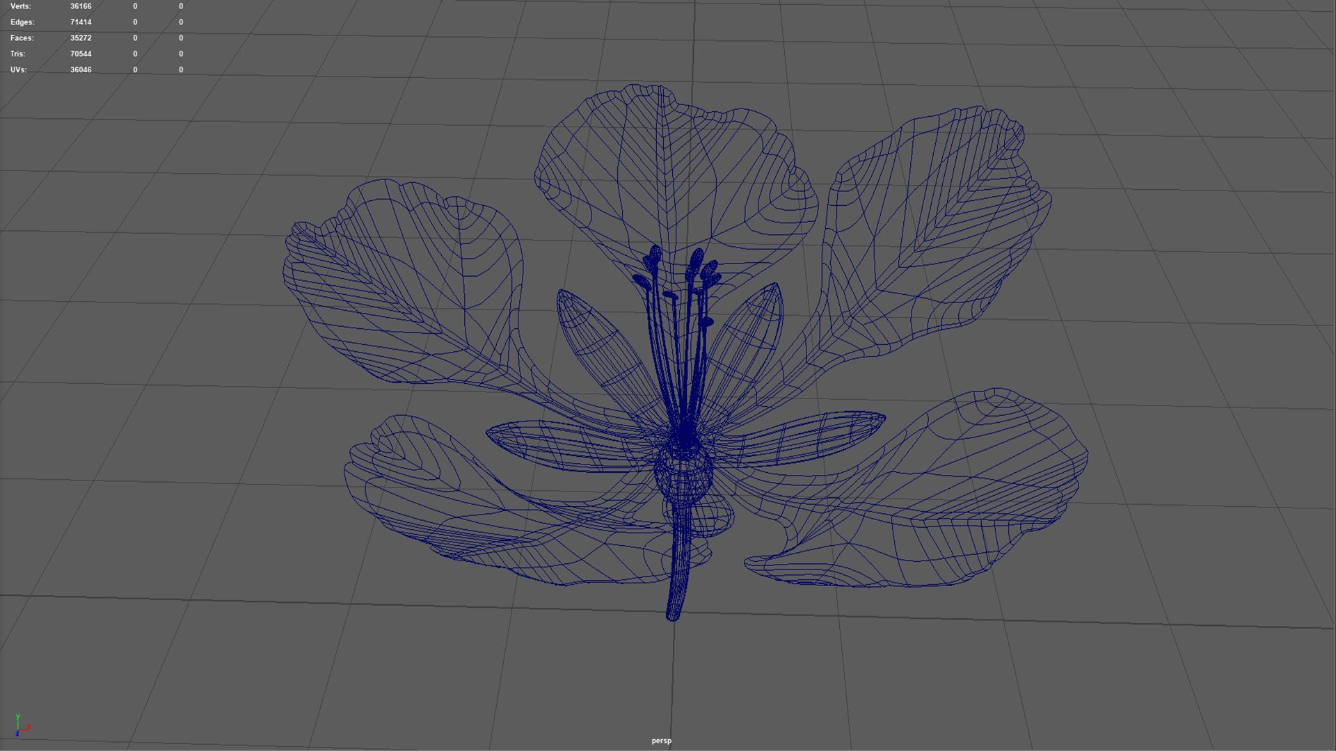 Gulmohar Flower Zygomorphic 3D Model TurboSquid 2220137