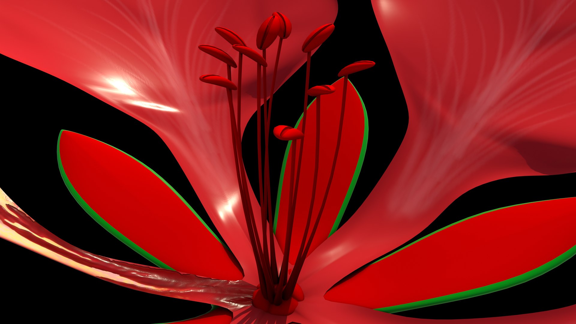 Gulmohar Flower Zygomorphic 3D Model TurboSquid 2220137