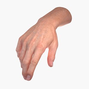 Realistic Male Hand Rigged