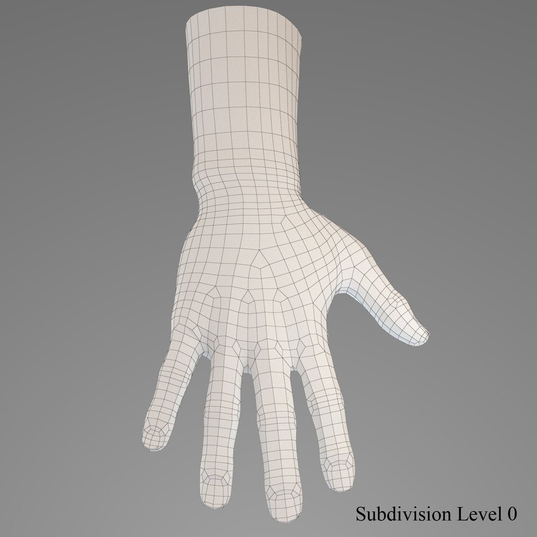3d Model Male Human Hand Rigged