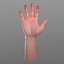 3d model male human hand rigged
