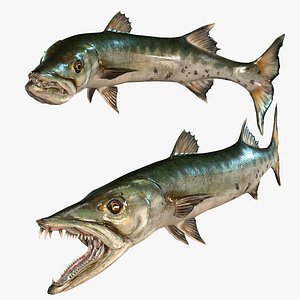 FISH BARRACUDA MONSTER HUNTER