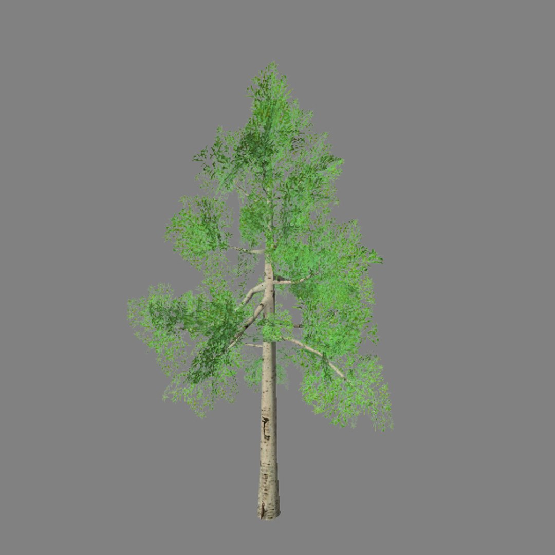 tree 09 max