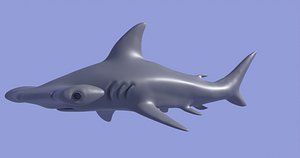 3D Hammerhead Shark