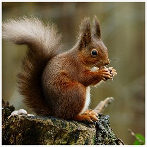 3D QA Test - Duplicate Search Image 1 model