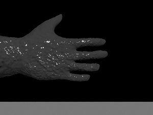 gloves hands 3d model