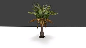 palm 3D