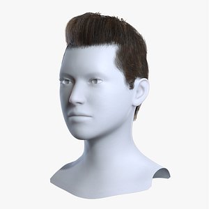 3D model Classic Pompadour Taper Fade Brown Hair 3D Asset