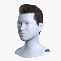 Classic Pompadour Taper Fade Brown Hair 3D Asset