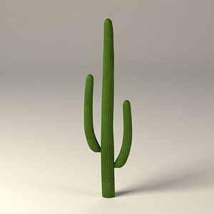 3dsmax cactus