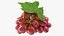 Colección de uvas 7