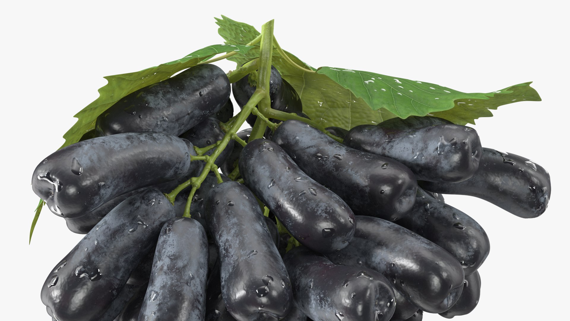 Grapes Collection 7 3D model https://p.turbosquid.com/ts-thumb/gY/AQCRl7/Im/grapes_collection_7_010/jpg/1710749566/1920x1080/fit_q87/1d1f317666b5368ded70b35835f320baae77bba2/grapes_collection_7_010.jpg