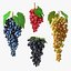 Colección de uvas 7